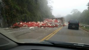 14054011_1174197002633109_1911725049360666031_n