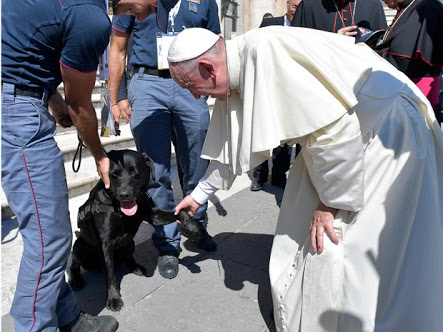 Papa conhece Leo, cão que ajudou a resgatar menina de 4 anos na Itália