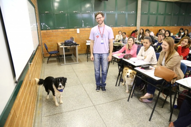 Professor leva cães para a sala e ensina cuidados e afeto aos alunos