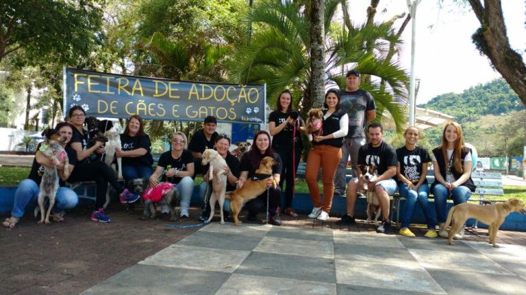 3º Feira de Adoção de Cães e Gatos realizada pela Faunamiga movimentou o Sábado em Capinzal