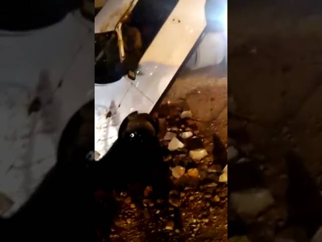 Vídeo: Carro é “engolido” por buraco em Água Doce