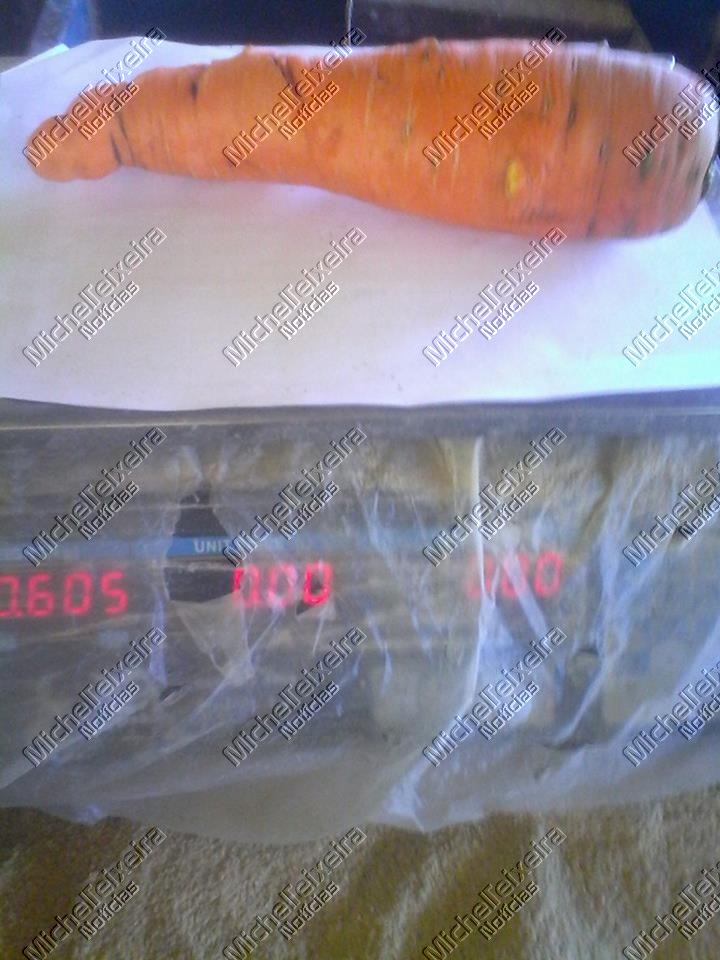 Família de Linha Taquaral colhe cenoura com mais de 600g