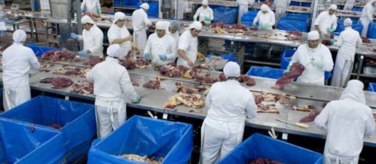 Exportações de carne despencam após operação da PF contra frigoríficos