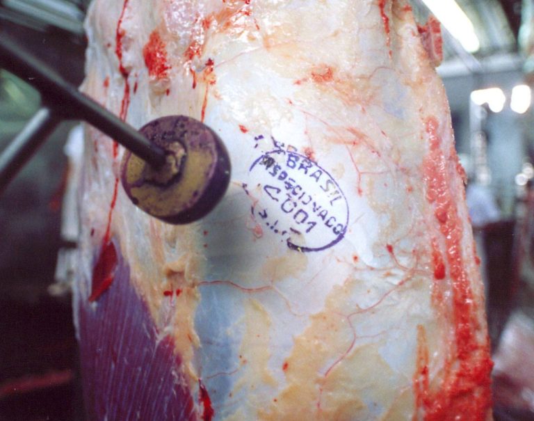 Santa Catarina fatura US$ 158 milhões com exportação de carnes em fevereiro