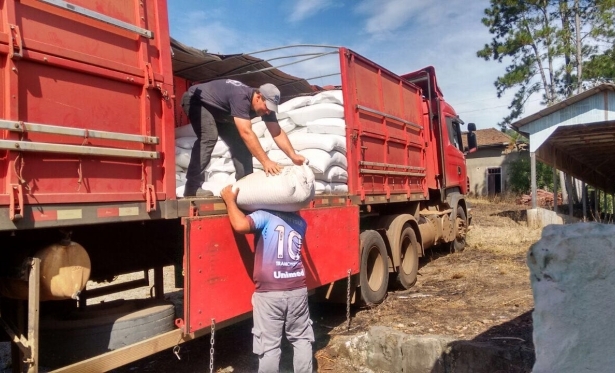 Secretaria de Agricultura inicia distribuição de sementes a produtores em Piratuba