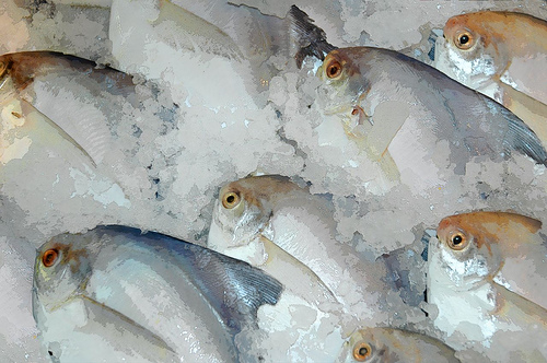 Vigilância Sanitária de Capinzal orienta sobre a compra de peixes