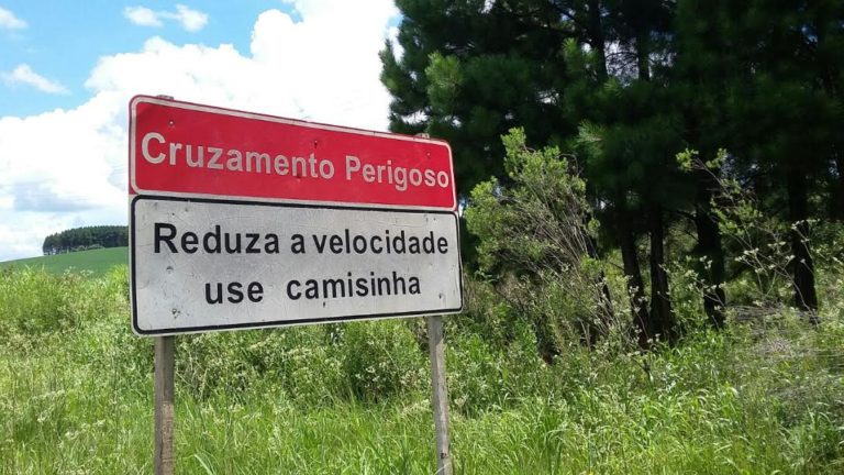 Placa com mensagem “dúbia” será removida pelo DNIT na BR-470 em Campos Novos
