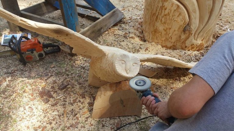 Festival internacional de escultura em madeira termina neste sábado; capinzalense está na disputa