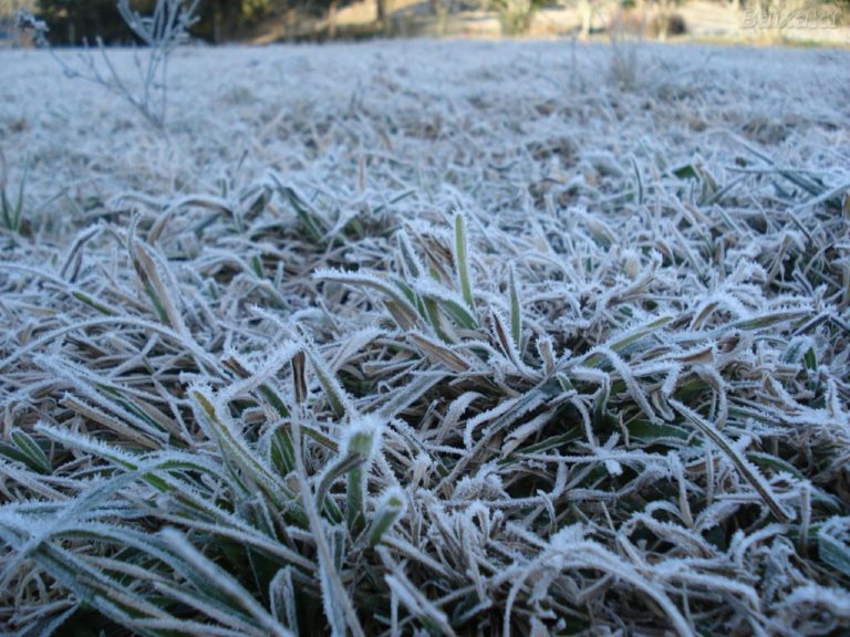 Inverno começa nesta sexta-feira: veja como será a estação mais fria do ano