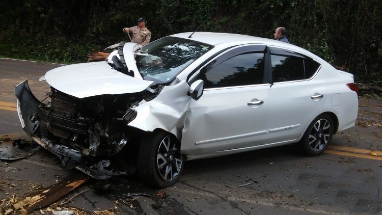 Automóvel colide em árvore caída na BR-153 em Irani