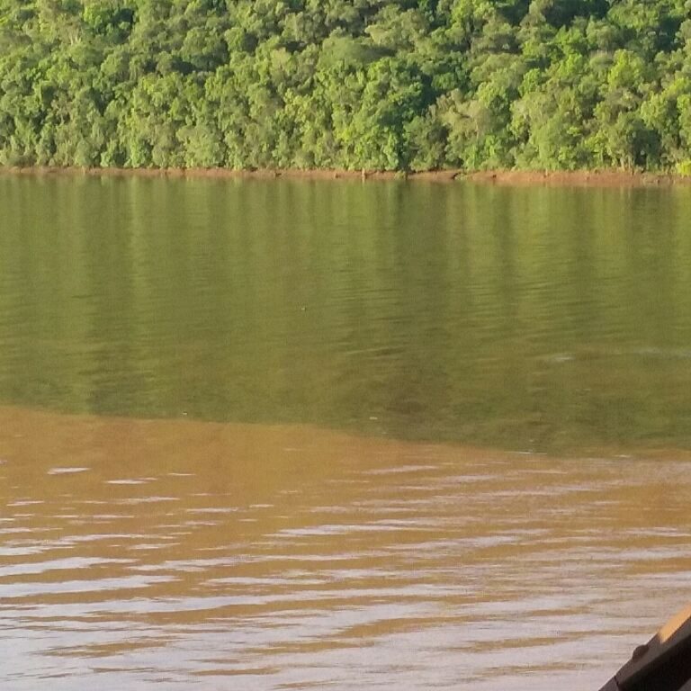 Junção dos rios Pelotas e Do Peixe chama a atenção na divisa de SC com o RS