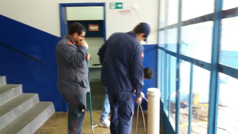 Bombeiros tentam capturar cobra Jararaca no ginásio de esportes Dileto Bertaioli