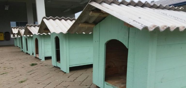 Jovens Aprendizes do SENAI constroem casas de cachorro para doação