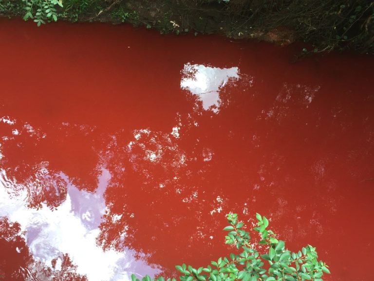 Polícia Militar Ambiental investiga rio “vermelho” em Chapecó