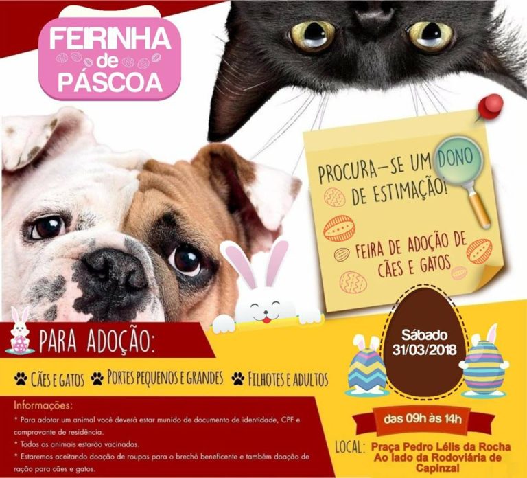 Faunamiga promoverá no próximo dia 31 mais uma feira de adoção de cães e gatos em Capinzal