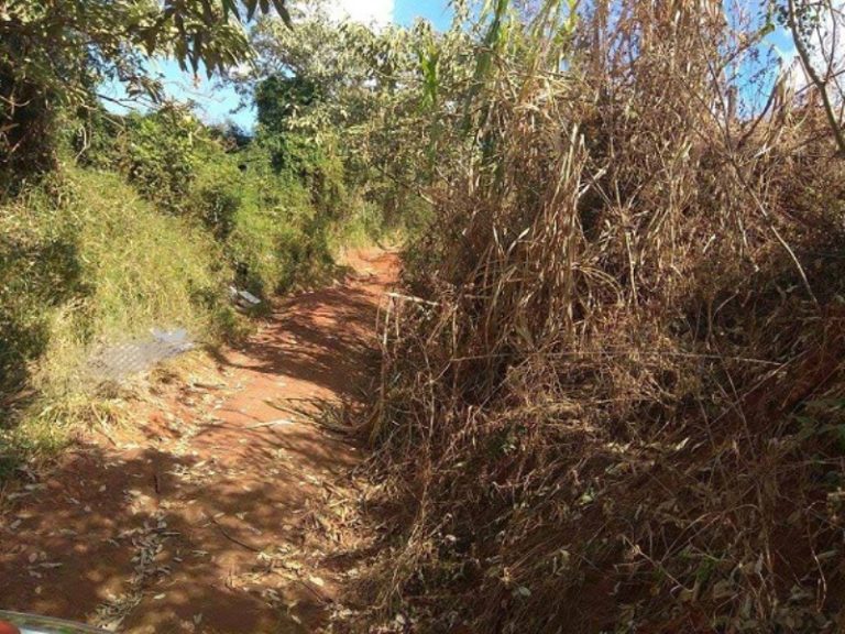 Corpo de mulher morta a facadas é encontrado no interior de Chapecó