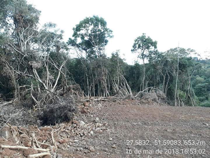 Desmatamento registrado pela Polícia Ambiental em propriedade rural da cidade de Machadinho