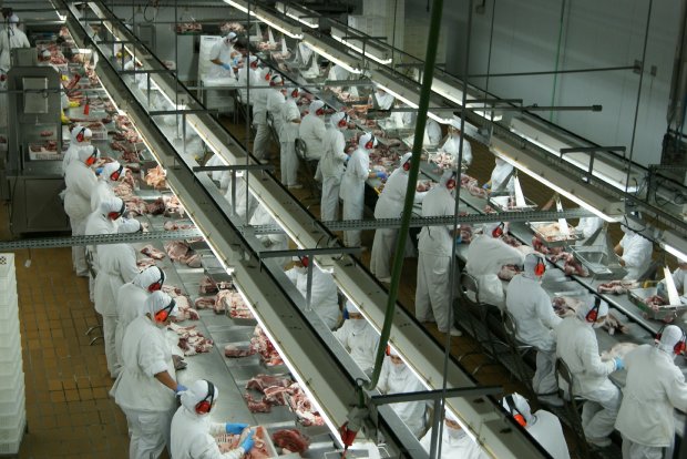 Santa Catarina amplia exportações de carne bovina