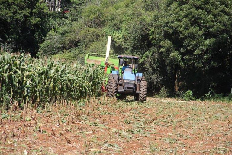 Secretaria da Agricultura retoma a produção de silagem em Capinzal