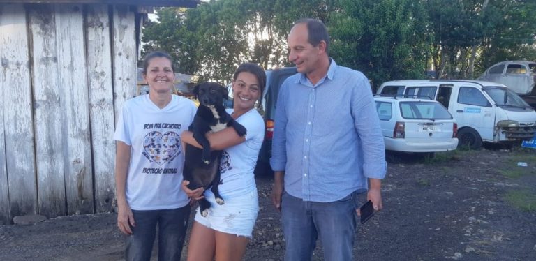 Cadela estuprada por detento no parque de máquinas de Joaçaba ganha novo lar