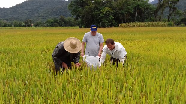 Governo anuncia medidas econômicas para ajudar produtores rurais afetados pela pandemia
