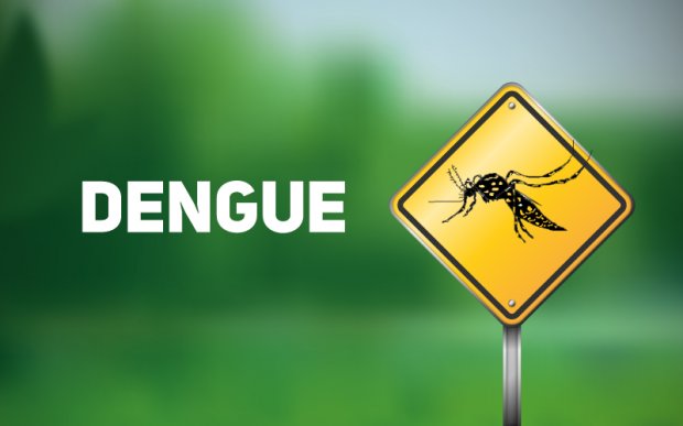 Diretoria de Vigilância Epidemiológica atualiza a situação dos casos de dengue em Santa Catarina
