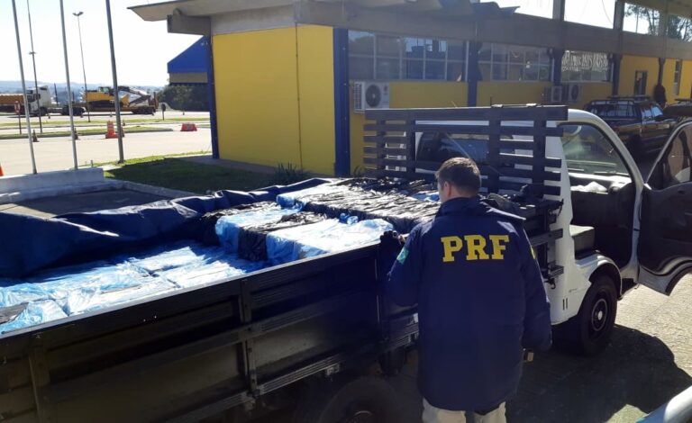 PRF prende motorista com mais de 1 tonelada de camarão contrabandeado na BR-280
