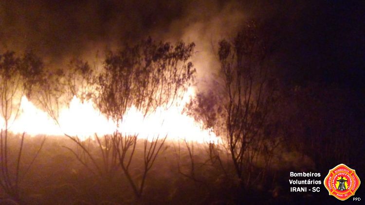 Bombeiros combatem incêndio de grandes proporções às margens da BR-153