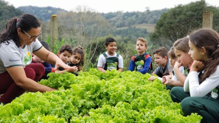 Horta incentiva produção agroecológica em escola ambiental de Piratuba
