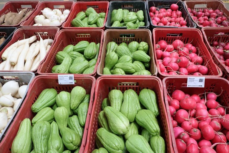 Santa Catarina implementa identificação de origem para frutas e verduras