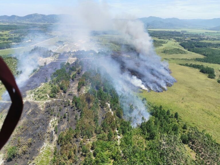 Incêndio acidental consome Parque Estadual da Serra do Tabuleiro