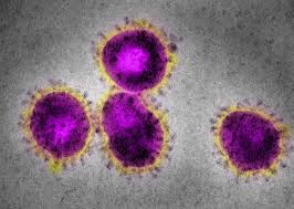 Pacientes com sintomas muito brandos liberam vírus em grande quantidade, diz estudo