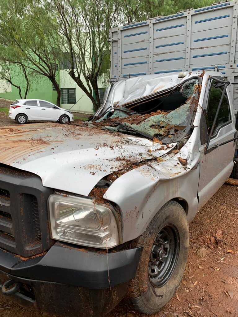 Vendaval provoca estragos em Vargeão; queda de árvore em veículo e destelhamentos