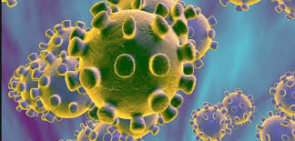 Governo de SC reforça importância da prevenção contra o novo coronavírus