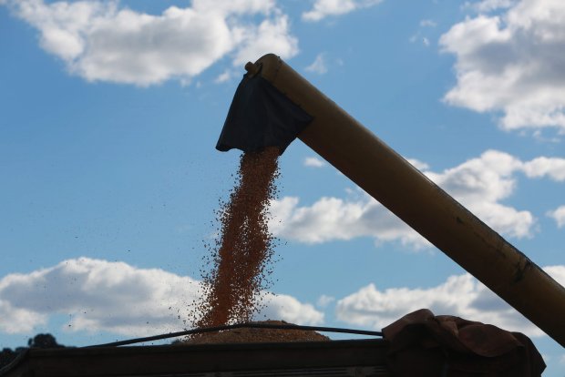 Governo investirá R$ 18,6 milhões para aumentar produção de milho no estado