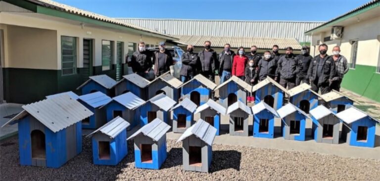 Em parceria com ONG de Capinzal detentos do presídio de Joaçaba constroem casinhas para cães