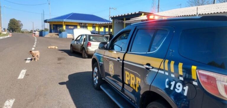 PRF prende em Vacaria homem que roubou carro no Meio-Oeste catarinense