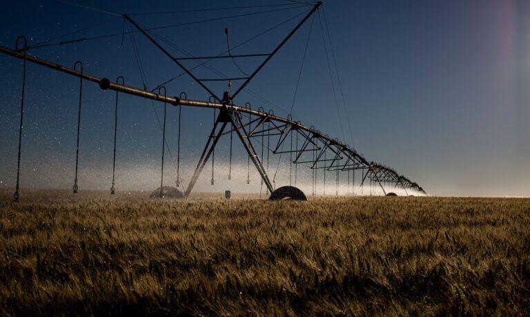 Setor agrícola de Machadinho terá investimentos em irrigação