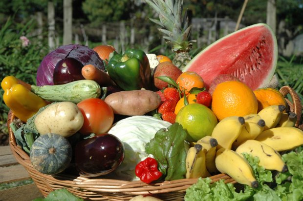 Governo federal aprova proposta de aquisição de alimentos de agricultores catarinenses