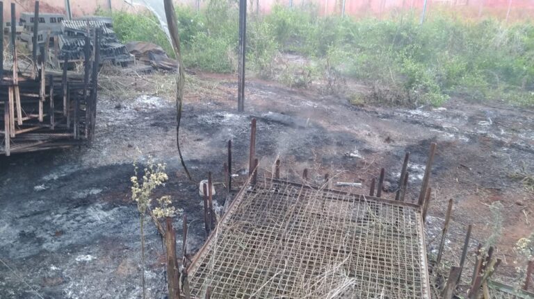 Bombeiros combatem incêndio em vegetação no interior de Itá