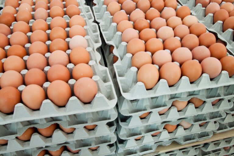 Preços dos ovos atingem maiores valores desde julho de 2023