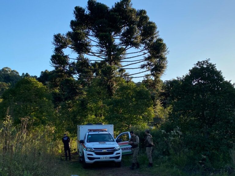 Menino encontrado morto em trilha teria caído de pinheiro após se assustar com barulho de tiro