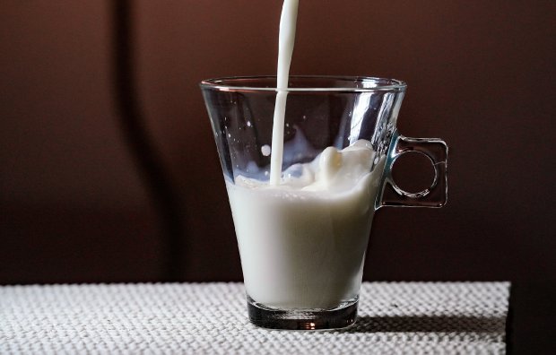Aumento do volume de importação de leite subsidiado gera mobilização em SC