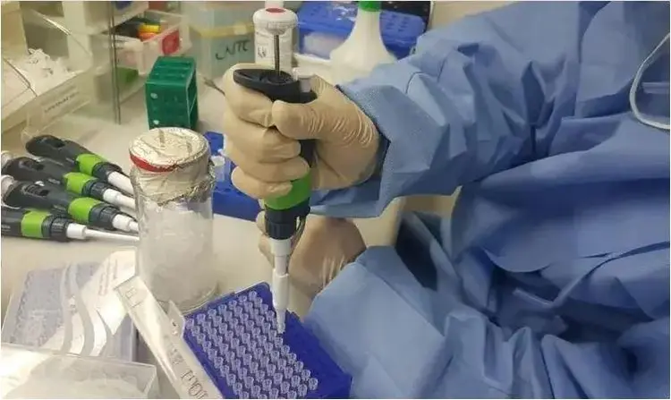 Com dois novos infectados, Santa Catarina confirma 36 casos da varíola dos macacos