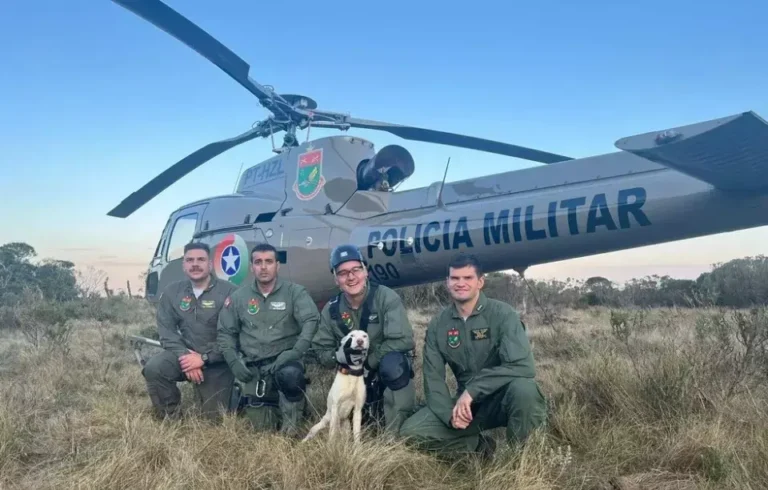Helicóptero Águia 4 da PM resgata cão preso em cânion de SC