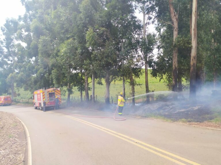 Bombeiros combatem incêndio em vegetação às margens da SC-390 em Piratuba