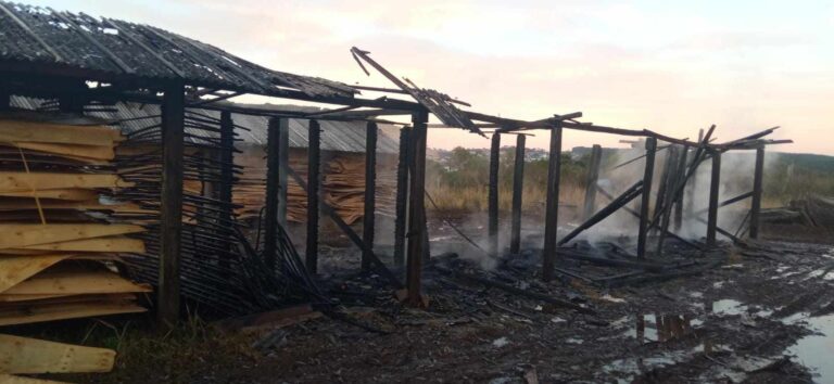 Bombeiros combatem incêndio em secador de lâminas de madeira em Santa Cecília
