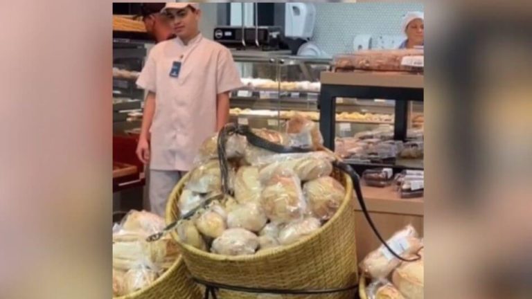 Cobra é flagrada em cima de pães e bolos em supermercado em SC; vídeo